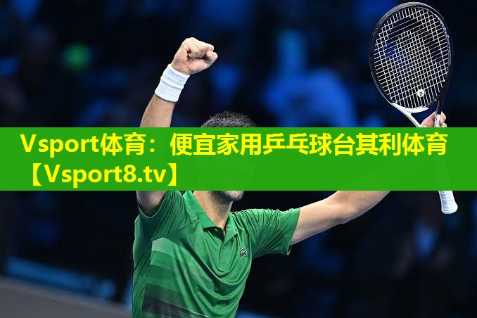 Vsport体育：便宜家用乒乓球台其利体育