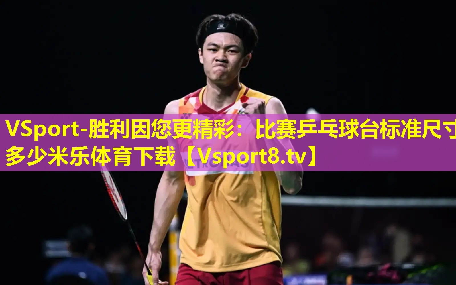 VSport-胜利因您更精彩：比赛乒乓球台标准尺寸多少米乐体育下载