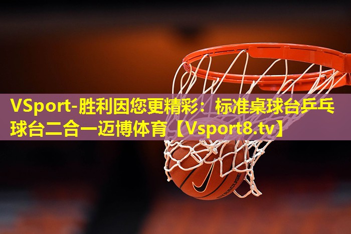 VSport-胜利因您更精彩：标准桌球台乒乓球台二合一迈博体育