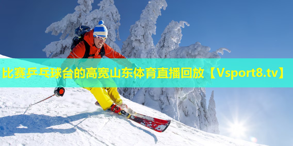 比赛乒乓球台的高宽山东体育直播回放