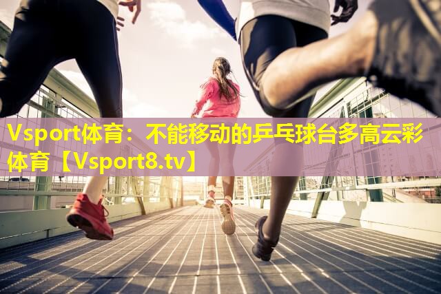Vsport体育：不能移动的乒乓球台多高云彩体育