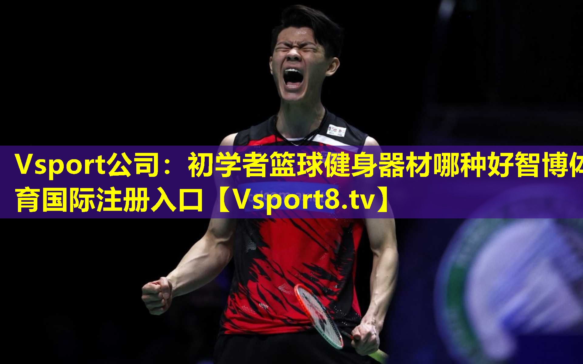 Vsport公司：初学者篮球健身器材哪种好智博体育国际注册入口