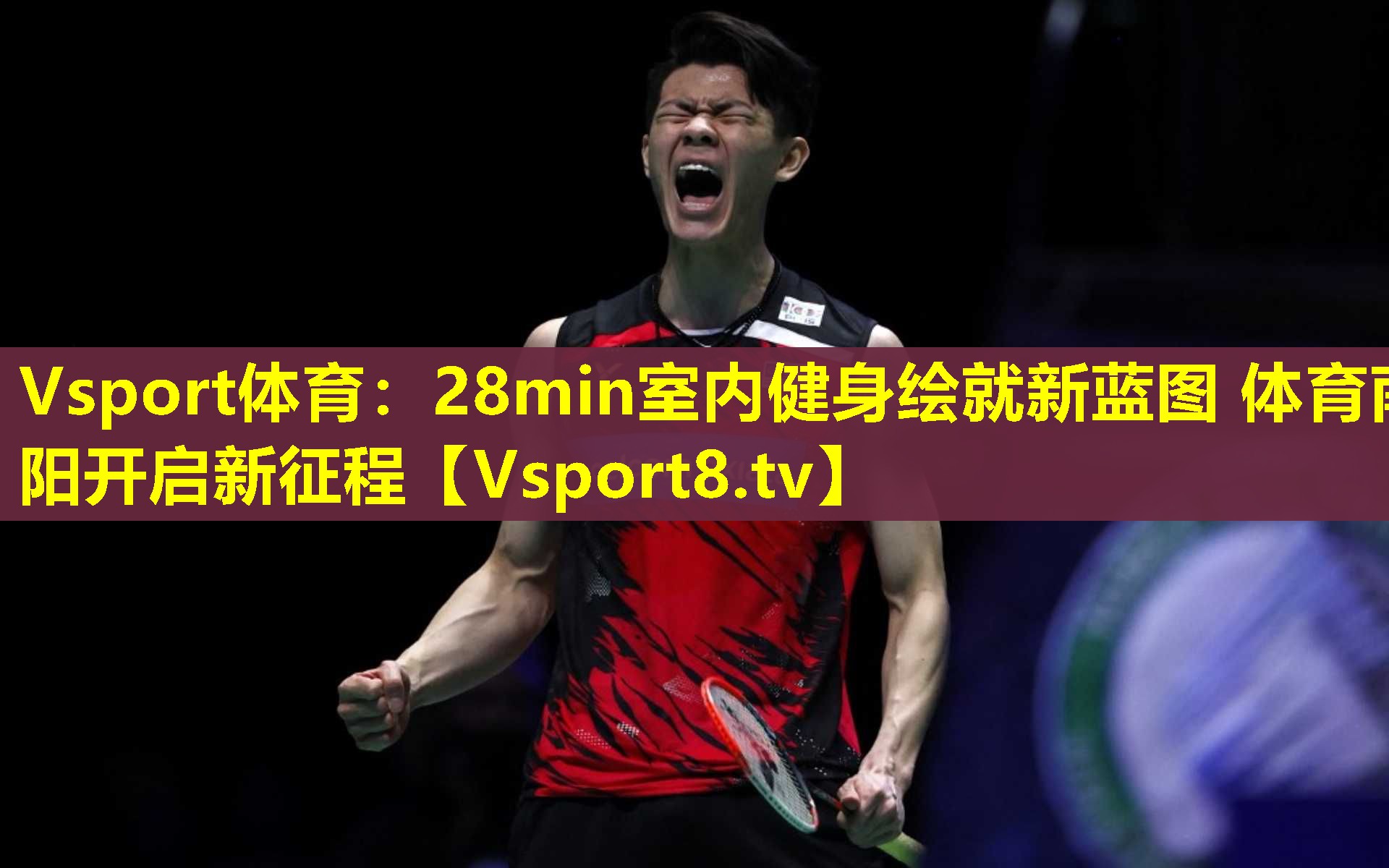 Vsport体育：28min室内健身绘就新蓝图 体育南阳开启新征程