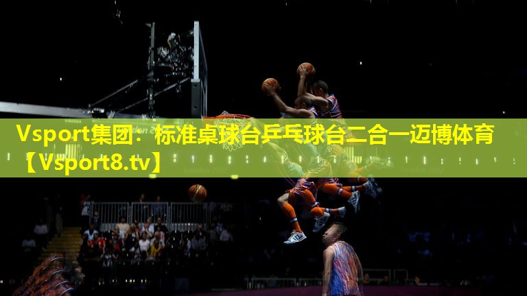 Vsport集团：标准桌球台乒乓球台二合一迈博体育