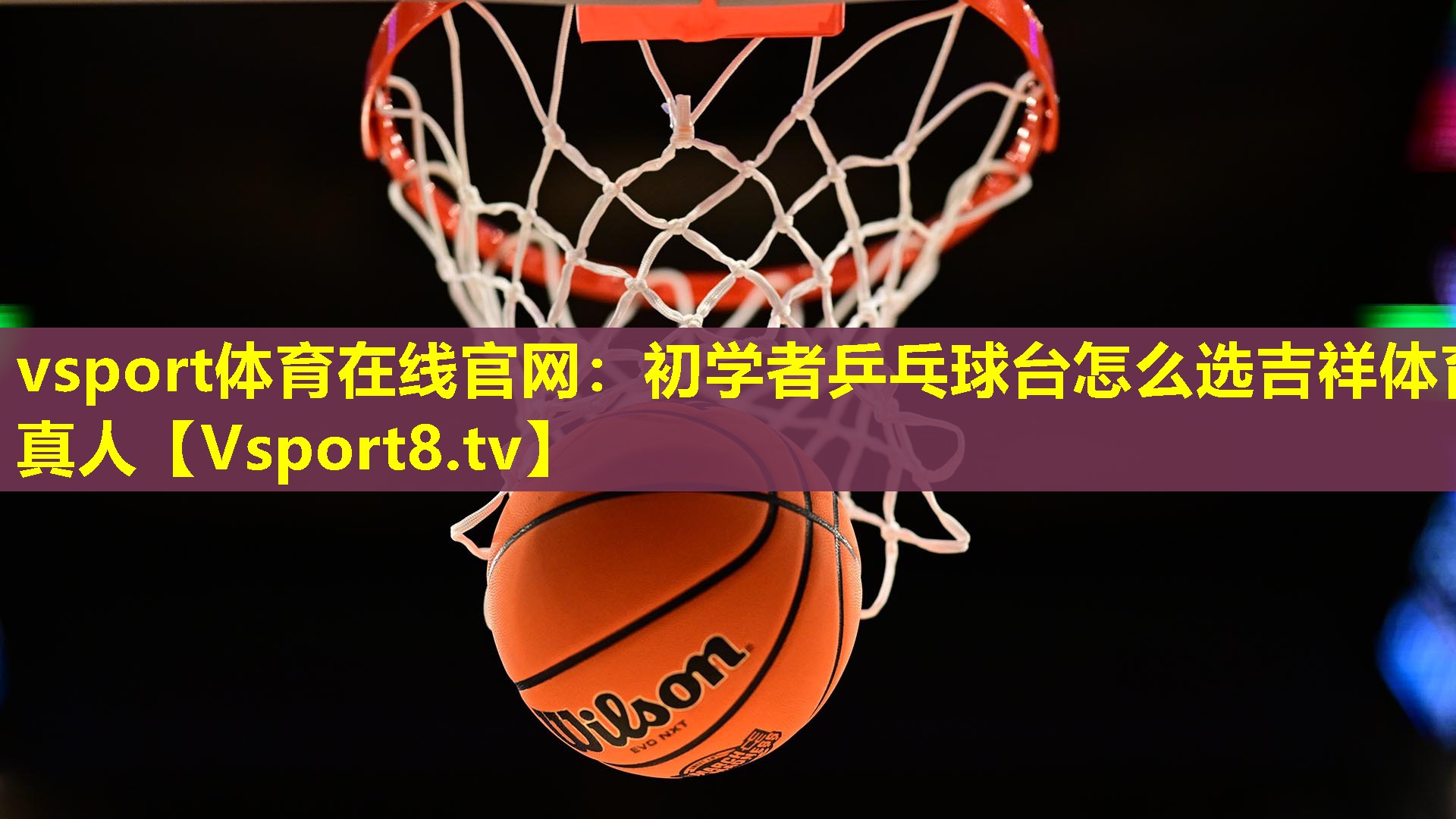 vsport体育在线官网：初学者乒乓球台怎么选吉祥体育真人