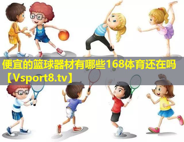 便宜的篮球器材有哪些168体育还在吗