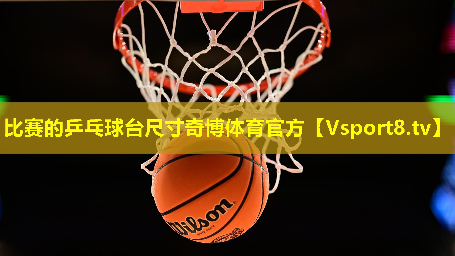 比赛的乒乓球台尺寸奇博体育官方