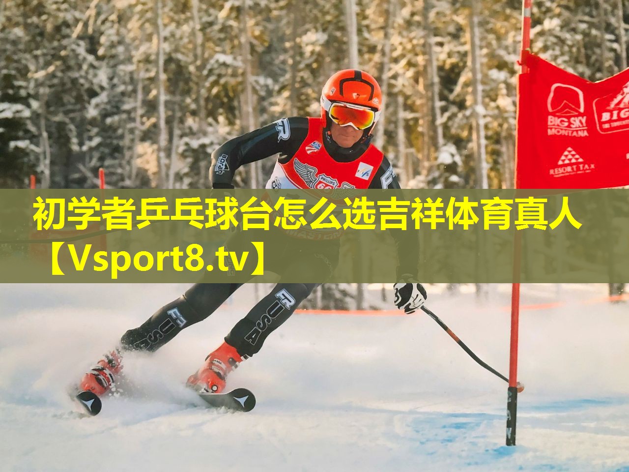 初学者乒乓球台怎么选吉祥体育真人
