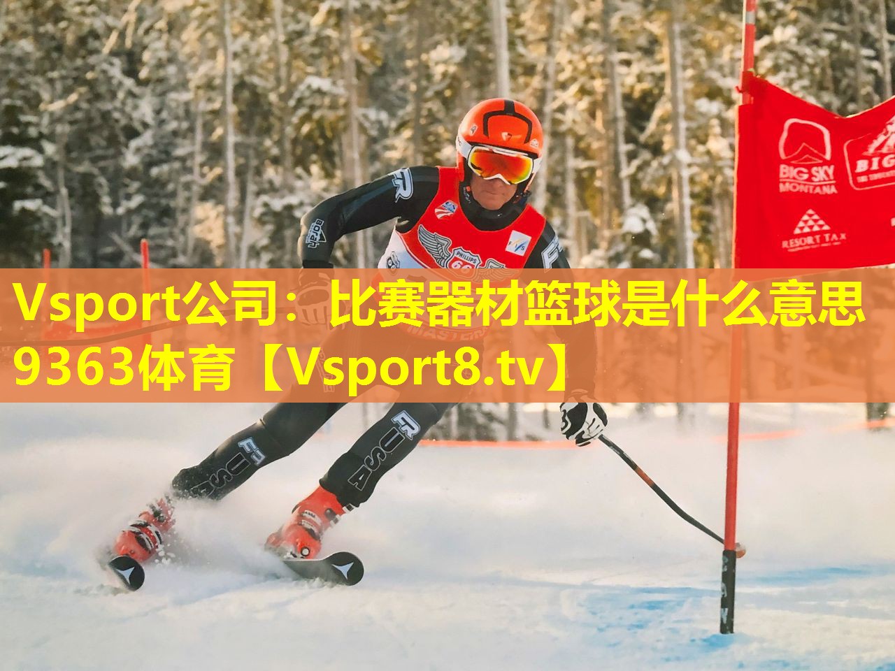 Vsport公司：比赛器材篮球是什么意思9363体育
