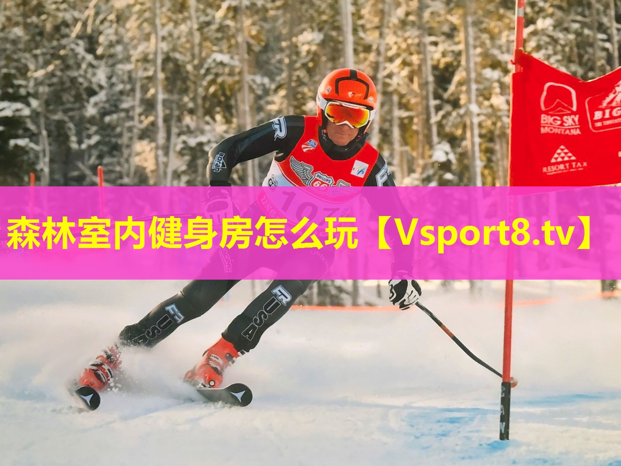 森林室内健身房怎么玩 森林室内健身房怎么玩