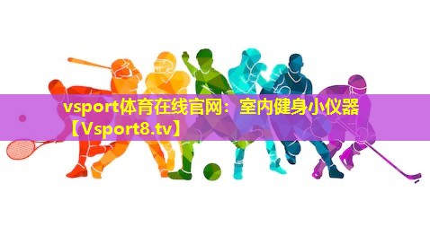 室内健身小仪器 室内健身小仪器