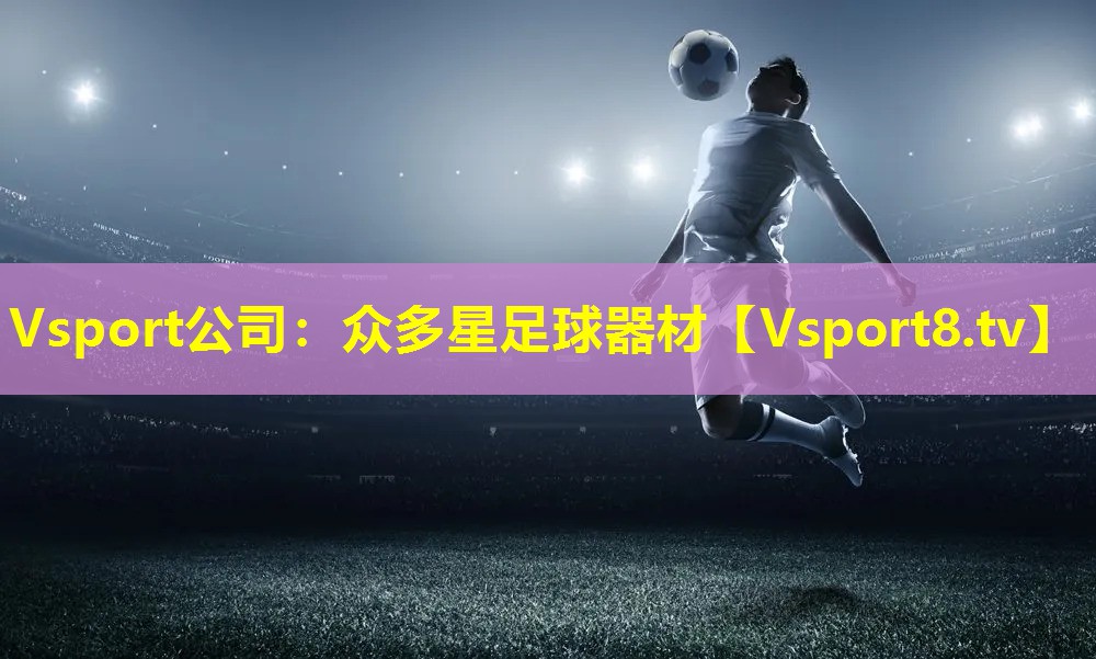 Vsport公司：众多星足球器材