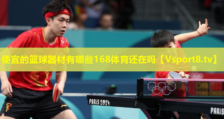 便宜的篮球器材有哪些168体育还在吗