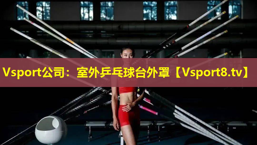 Vsport公司：室外乒乓球台外罩