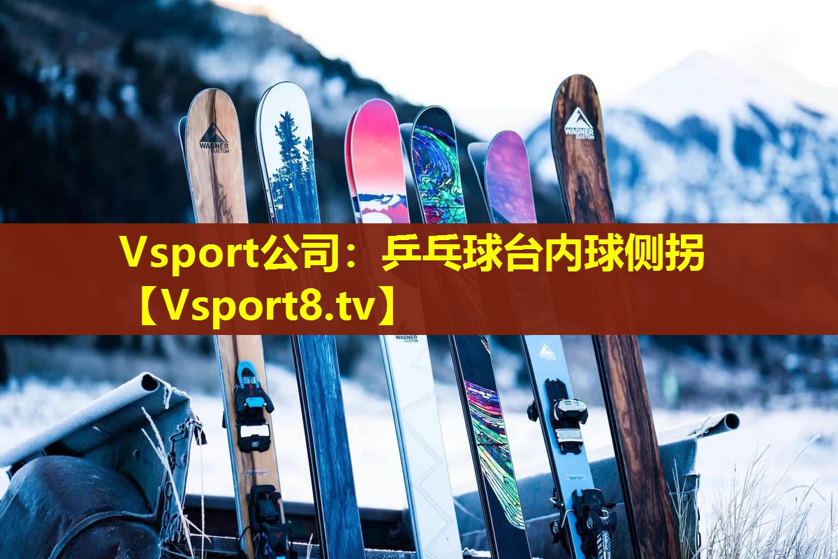 Vsport公司：乒乓球台内球侧拐