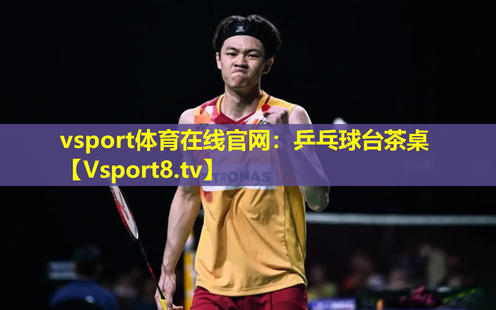 乒乓球台茶桌 乒乓球台茶桌