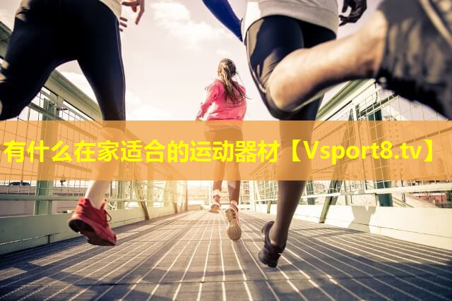 有什么在家适合的运动器材 有什么在家适合的运动器材